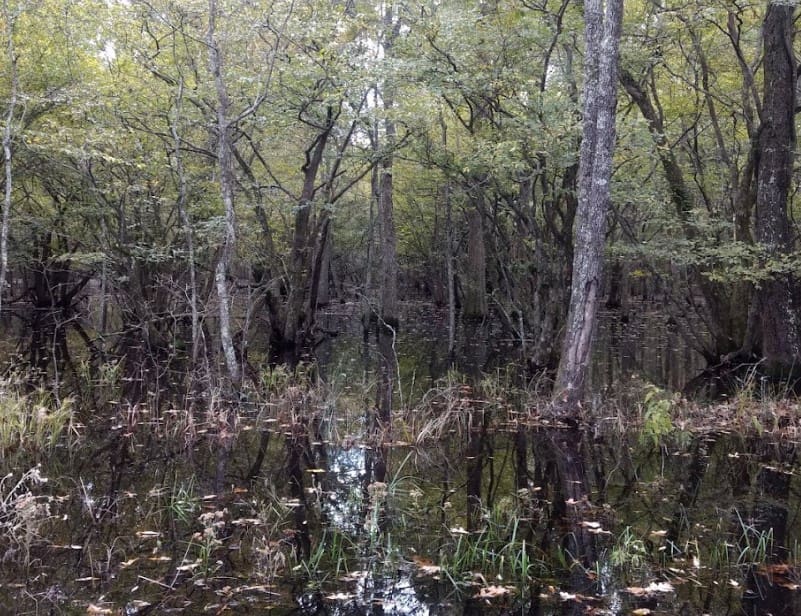 little river national , wildlife refugebroken bow attractions