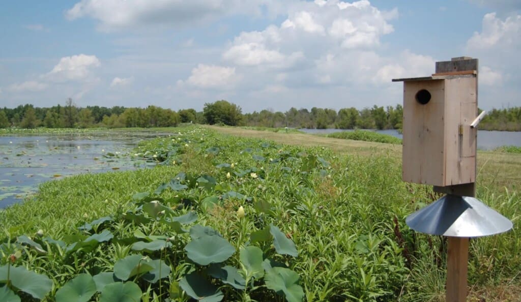 Red Slough WMA