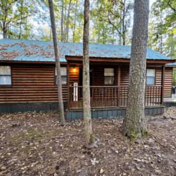 bear trail cabin