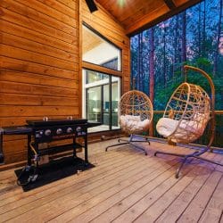 Two hanging wicker egg chairs and the griddle on the deck