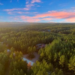 Aerial of pine forest with a cabin roof at left under a sunset sky