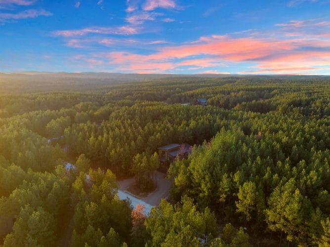 Aerial of pine forest with a cabin roof at left under a sunset sky