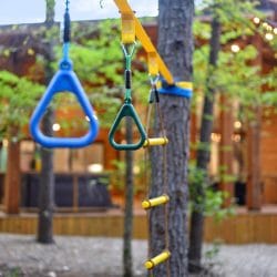 Ring swing hanging from a tree with the cabin glowing behind