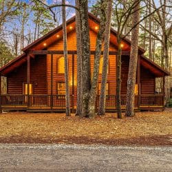 Log cabin with a covered porch among tall pines in the evening