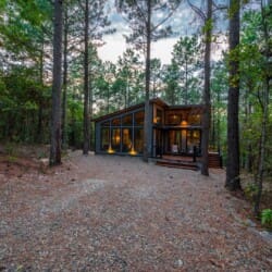 Hidden Pines