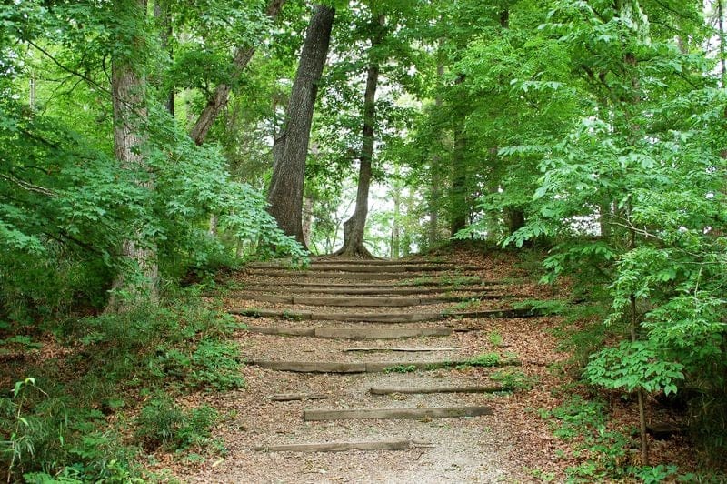 Lakeview Lodge Trail​