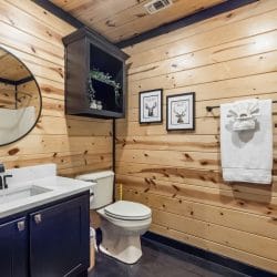 Bathroom with a navy vanity, a round mirror, a toilet and antler art on the pine wall