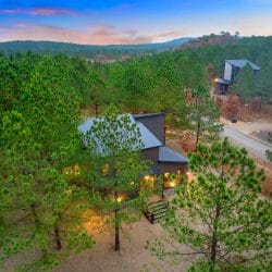 Aerial view of the blue-gray metal roof among pines