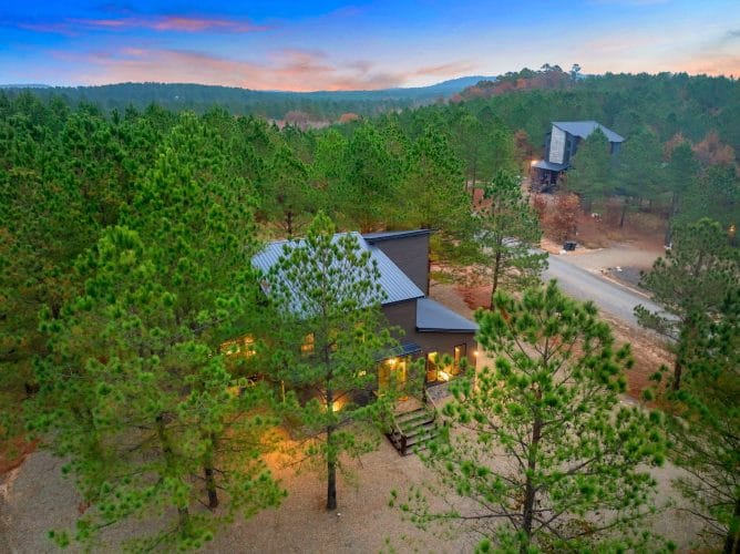 Aerial view of the blue-gray metal roof among pines