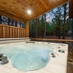 Hot tub with jets beside a wooden fence and trees