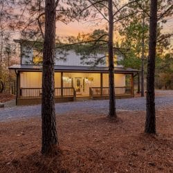 Straight-on view of the front porch through pine trunks