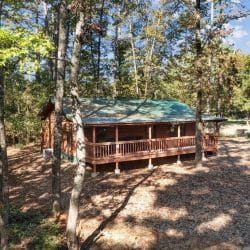 Cabin with a green metal roof and long front porch seen through pine trunks