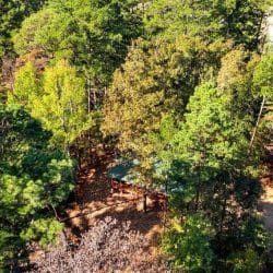 Aerial view looking down through trees at the cabin roof and gravel driveway