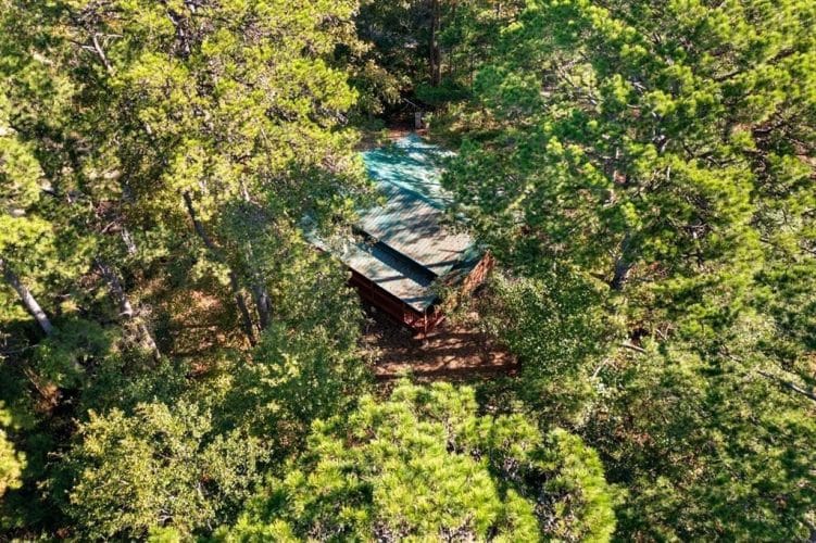 Aerial view of the green metal roof among thick trees