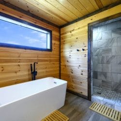Freestanding tub under a long window, with a tiled shower beside it