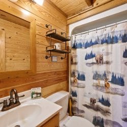 Bathroom with a tub and a bear-pattern shower curtain, a sink and a mirror