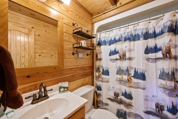 Bathroom with a tub and a bear-pattern shower curtain, a sink and a mirror