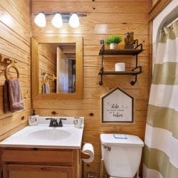 Bathroom with a single-sink vanity, toilet and a striped shower curtain
