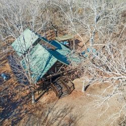 Aerial view of the green metal roof and deck among bare trees