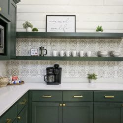 Open green shelves with dishes, a coffee maker and a patterned backsplash