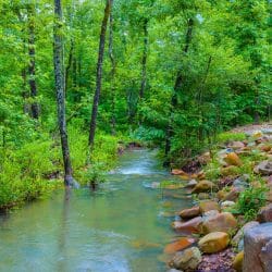 Creek running over rocks beside the woods behind the cabin