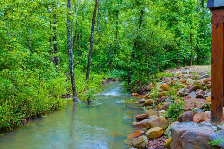 Creek running over rocks beside the woods behind the cabin