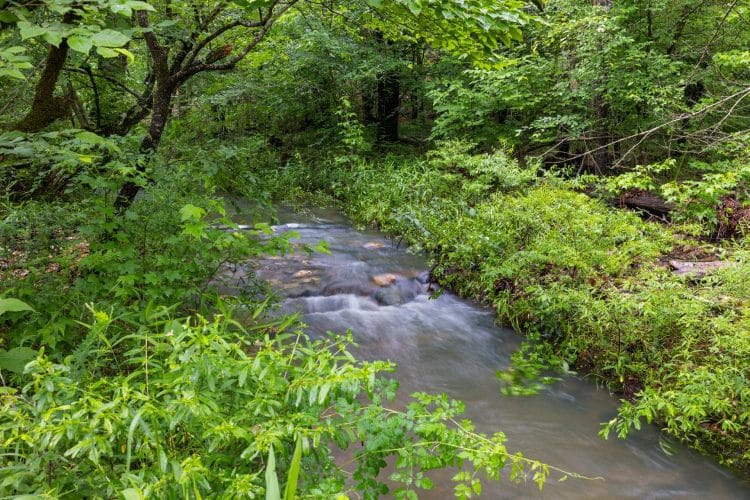 Creek flowing over rocks through green woods