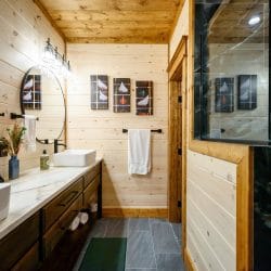 Double vanity beside a black tile shower
