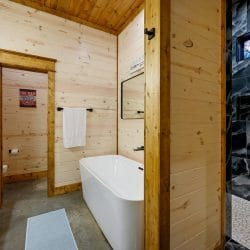Freestanding tub beside a tile shower