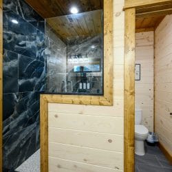 Walk-in shower and toilet in a bathroom