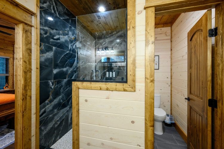 Walk-in shower and toilet in a bathroom