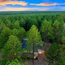 Aerial of pine forest with a rooftop in the middle