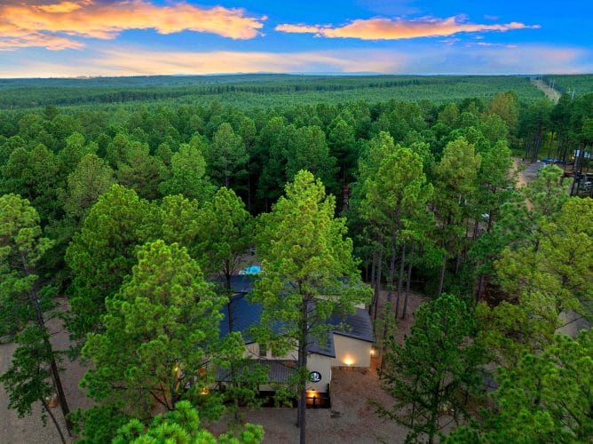Aerial of pine forest with a rooftop in the middle
