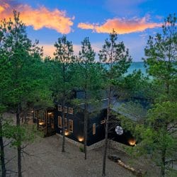 Aerial view of the cabin roof through pine branches