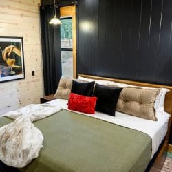 King bed with olive cover, black and red pillows and a dark wall