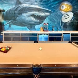 Pool table in front of a shark mural and a bar with sink