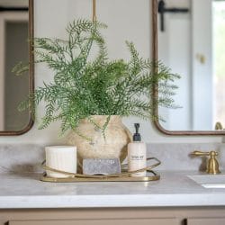 Bathroom vanity top with brass faucets, two mirrors and a plant