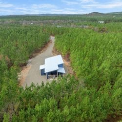 Aerial view of the cabin and gravel drive in a forest of young pines