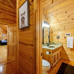 Bathroom with a toilet, vanity and a raccoon print by the door