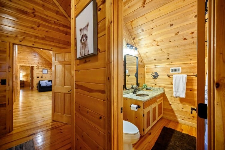 Bathroom with a toilet, vanity and a raccoon print by the door