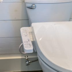 Toilet with a bidet-seat control panel (close-up)